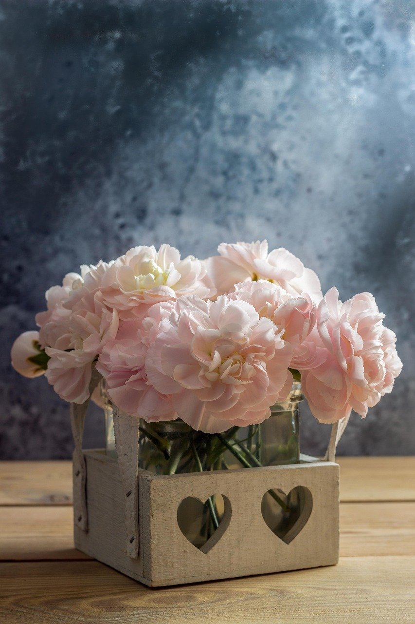 Strona Główna cloves, nature, flower, flower wallpaper, flower background, beautiful flowers, pink, close up, blossoms, cut flower, petals, plant, cut flowers, romantic, still life, beautiful, love, tender, bunch of flowers